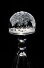 USA, Indiana, Carmel. Frozen soap bubble on wine glass base. Art Print